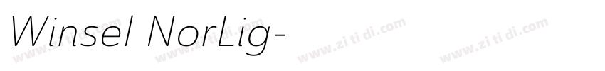 Winsel NorLig字体转换